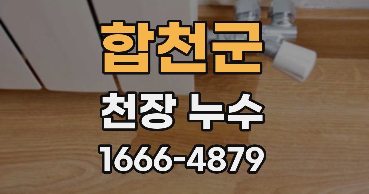 합천군 천장 누수