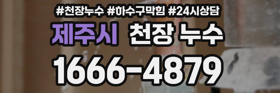 제주시 천장 누수