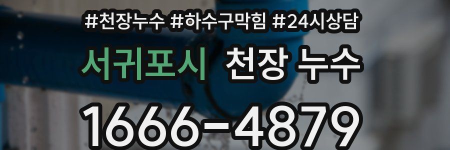 서귀포시 천장 누수