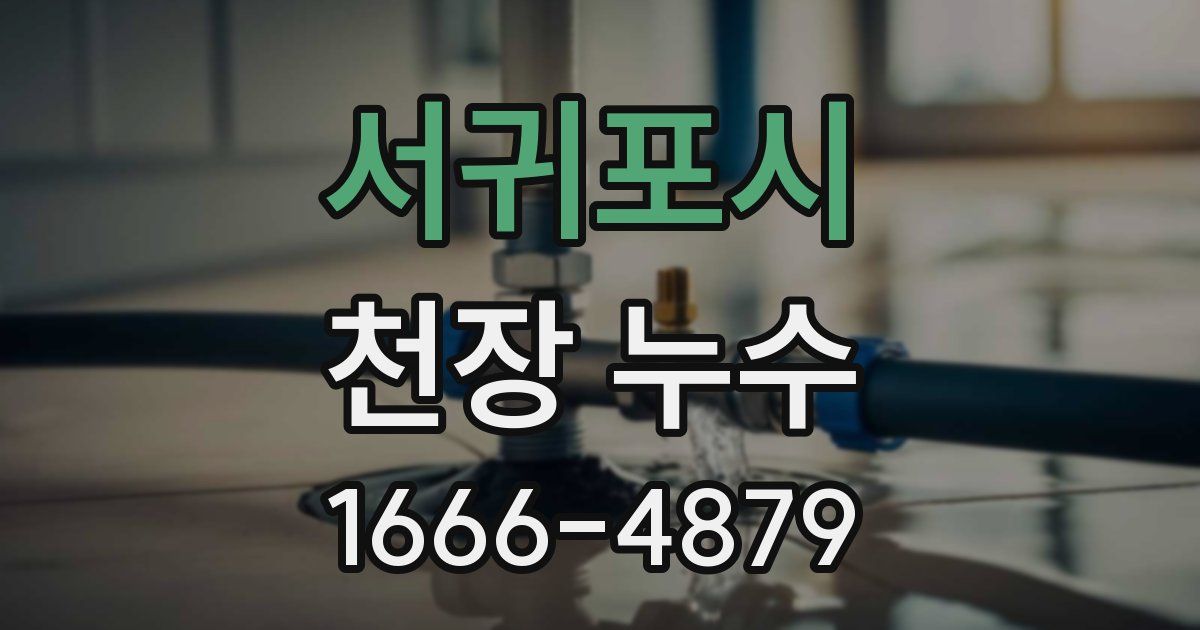 서귀포시 천장 누수