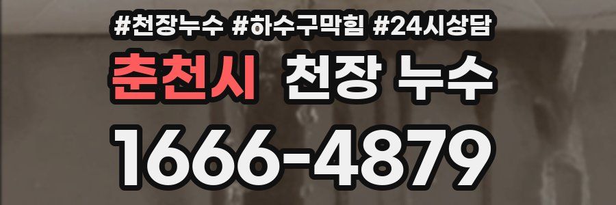 춘천시 천장 누수