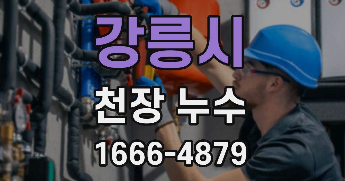 강릉시 천장 누수