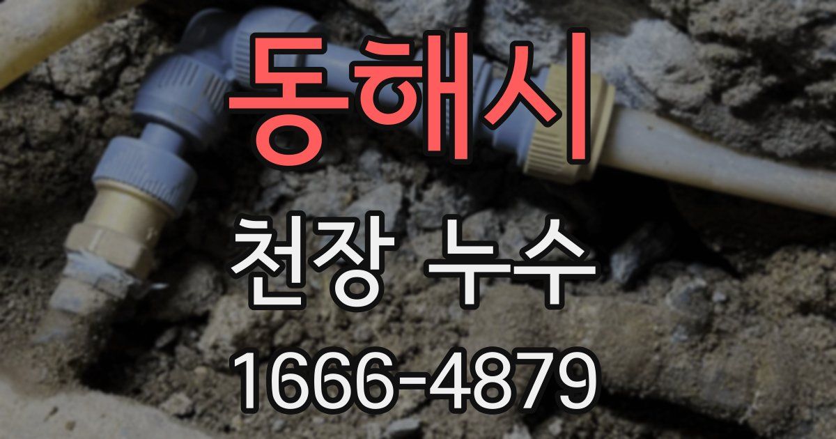 동해시 천장 누수