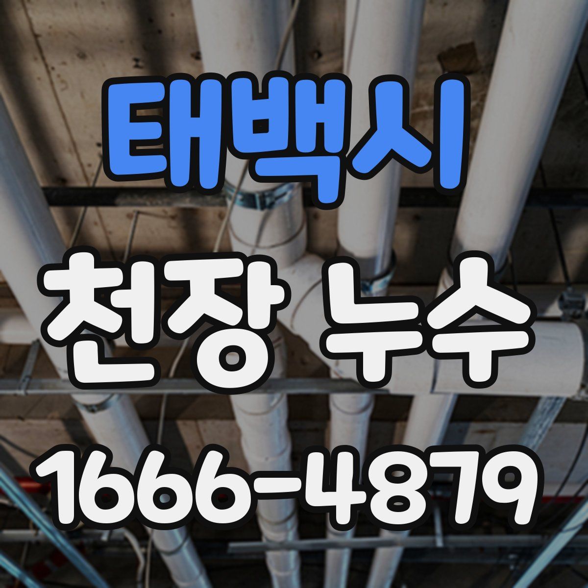 태백시 천장 누수