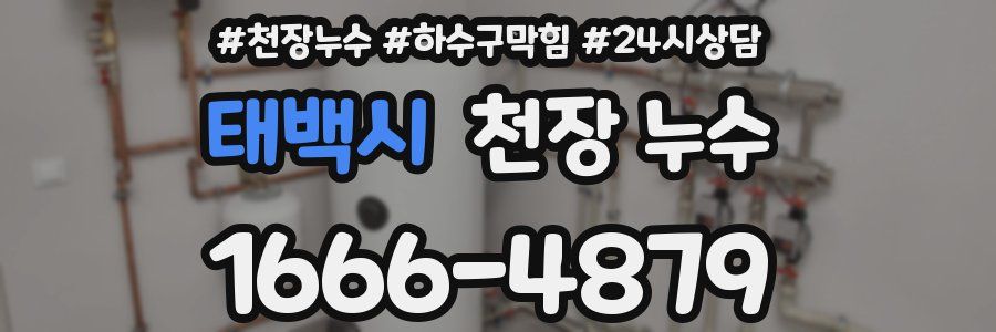 태백시 천장 누수