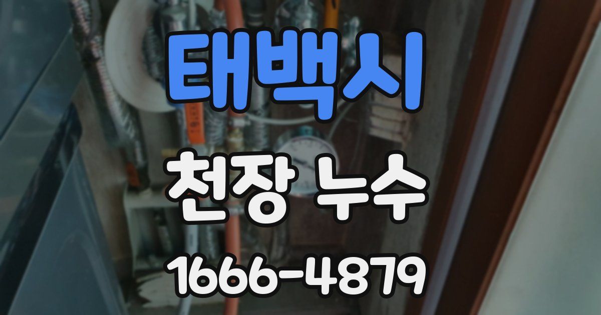 태백시 천장 누수