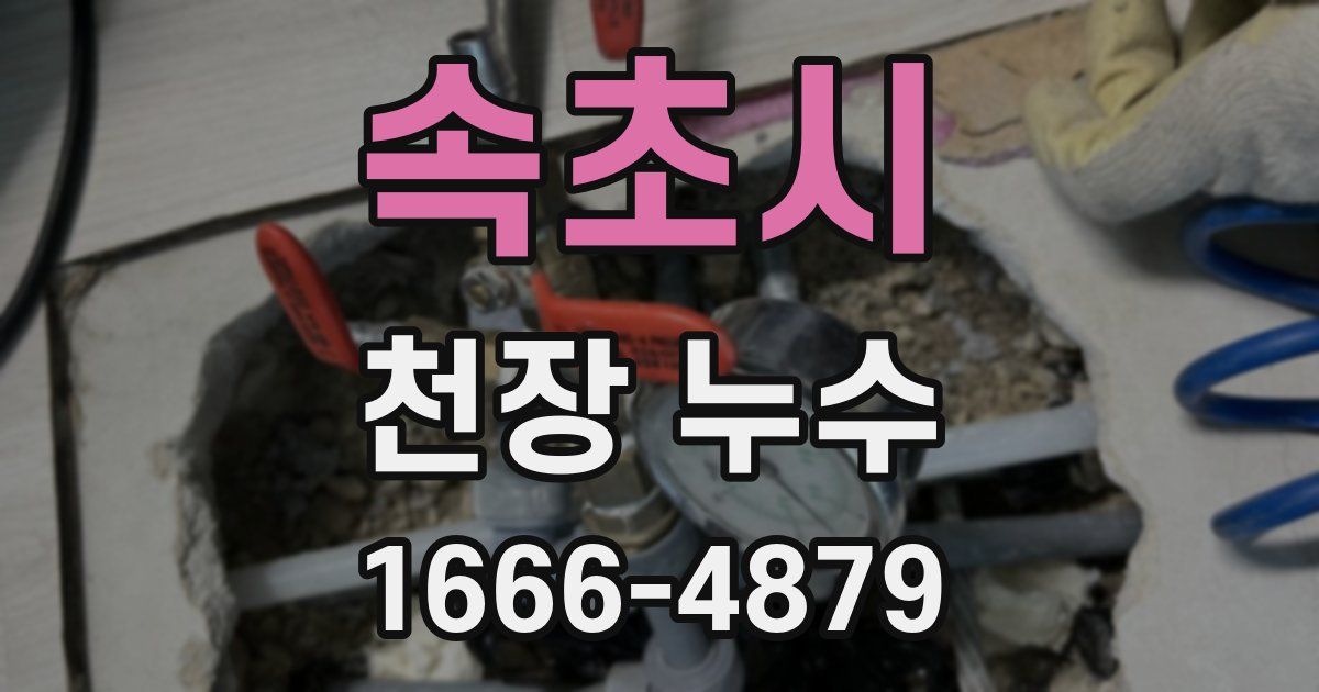 속초시 천장 누수