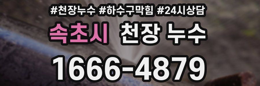 속초시 천장 누수