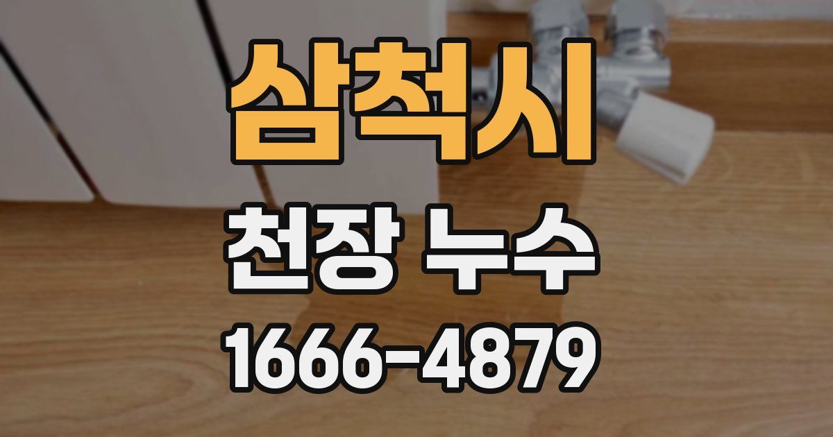 삼척시 천장 누수