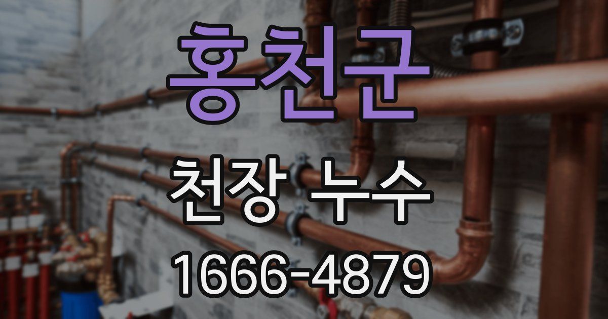 홍천군 천장 누수