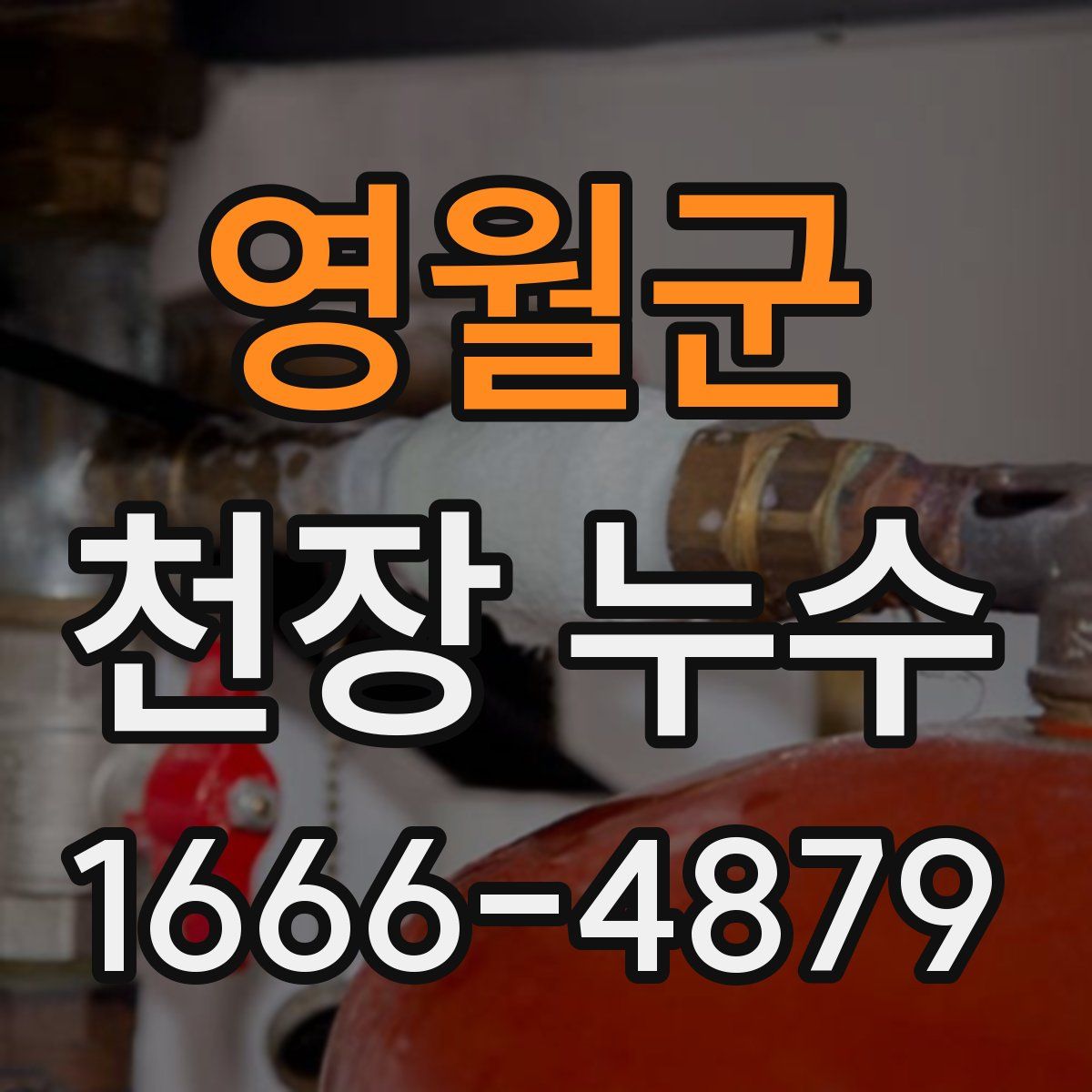 영월군 천장 누수