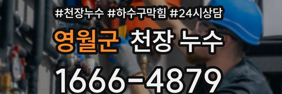 영월군 천장 누수