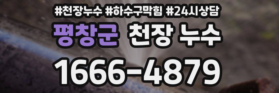 평창군 천장 누수