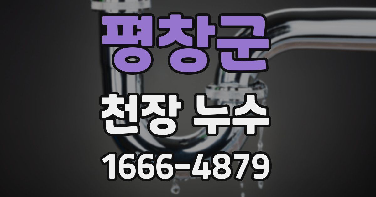 평창군 천장 누수