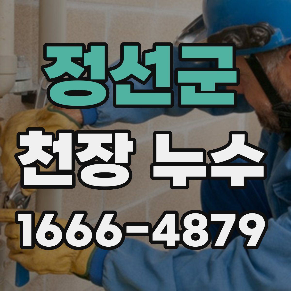 정선군 천장 누수