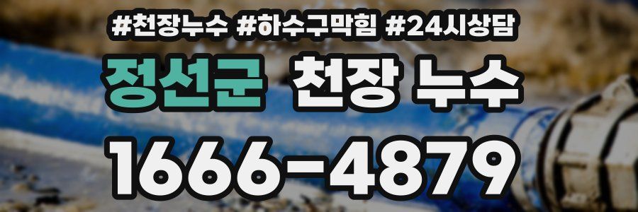 정선군 천장 누수