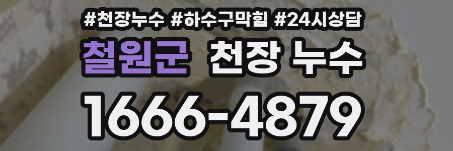 철원군 천장 누수