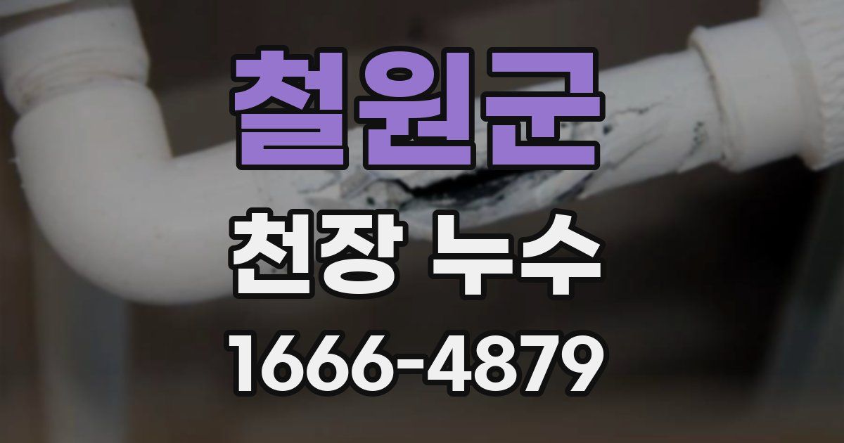 철원군 천장 누수