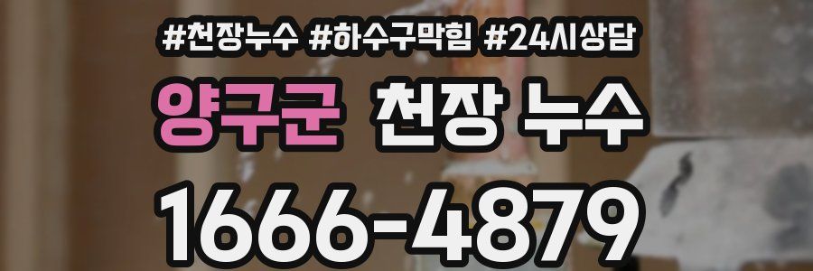 양구군 천장 누수