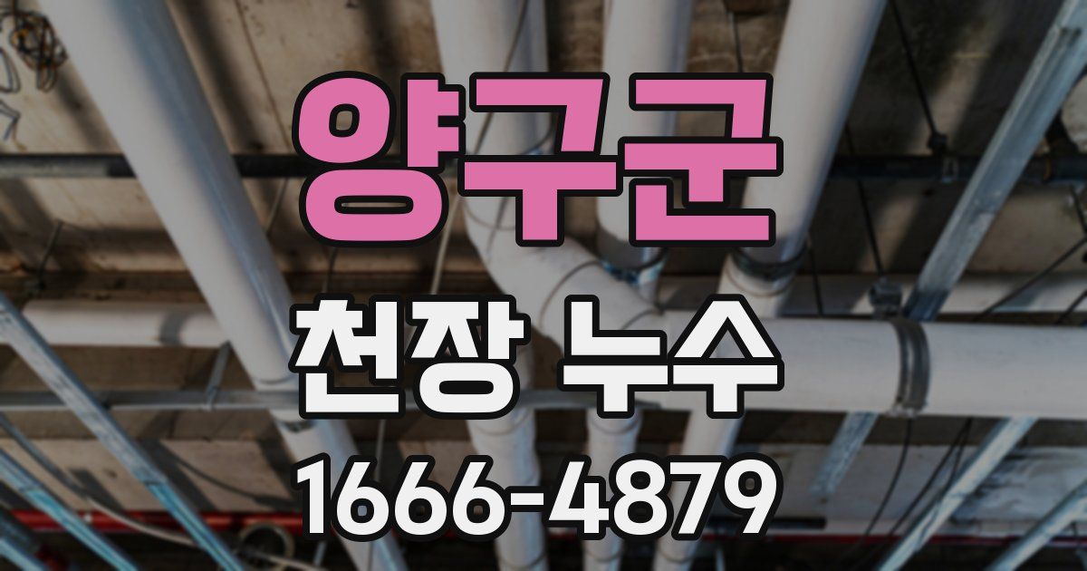 양구군 천장 누수