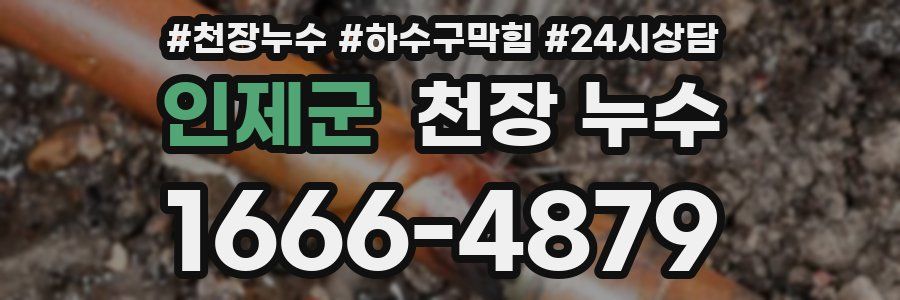 인제군 천장 누수