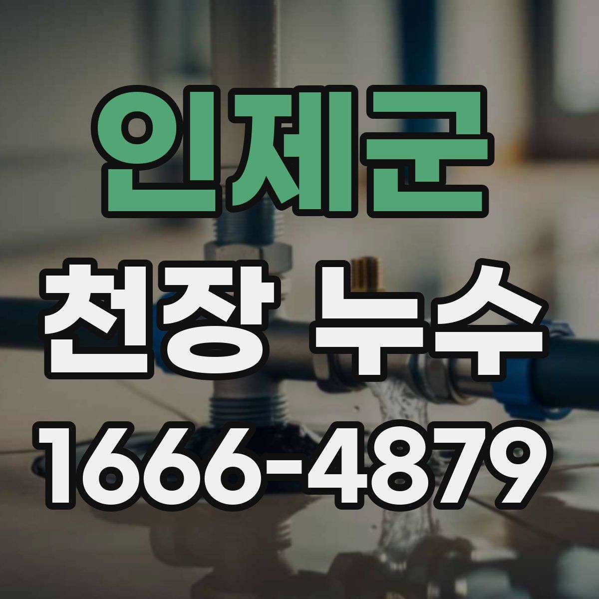 인제군 천장 누수