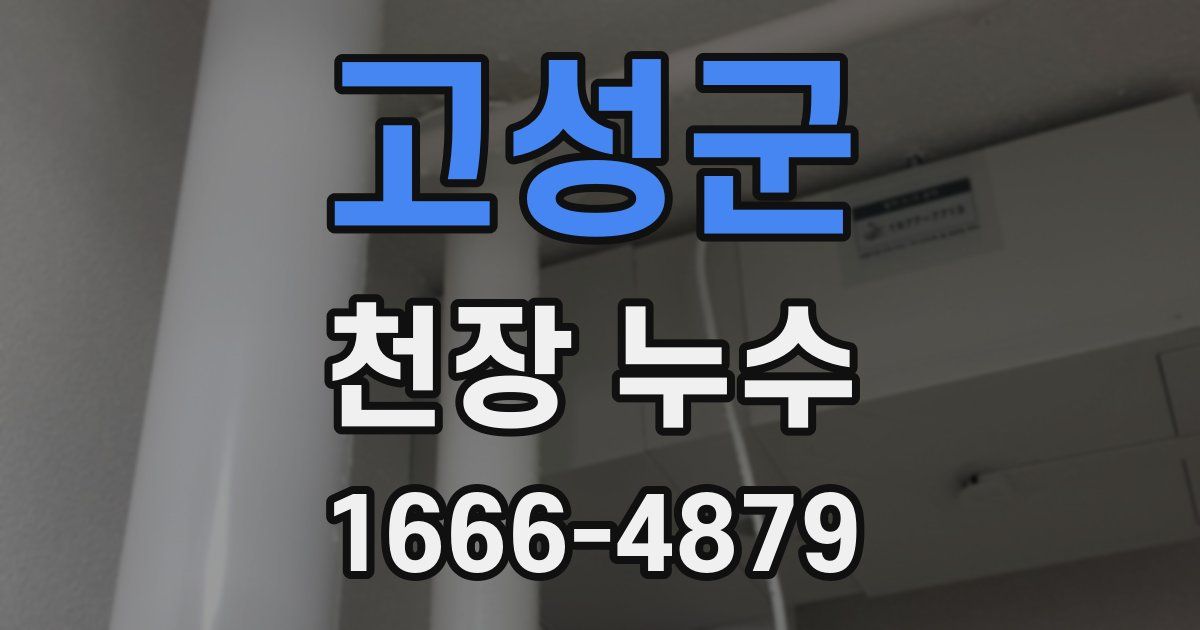 고성군 천장 누수