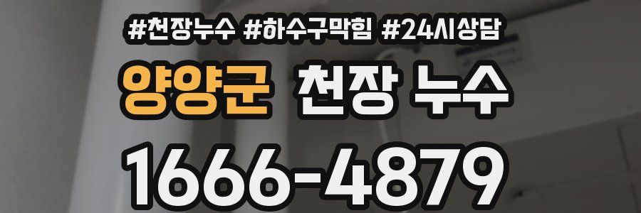 양양군 천장 누수