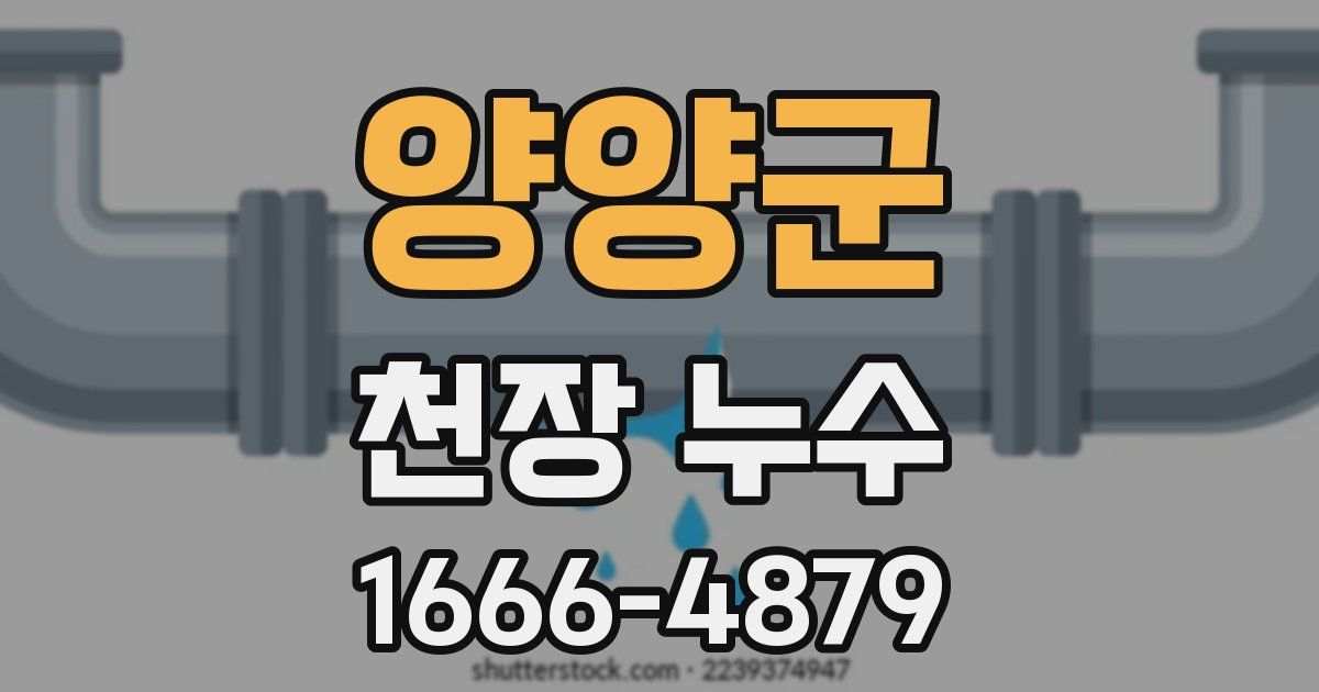 양양군 천장 누수