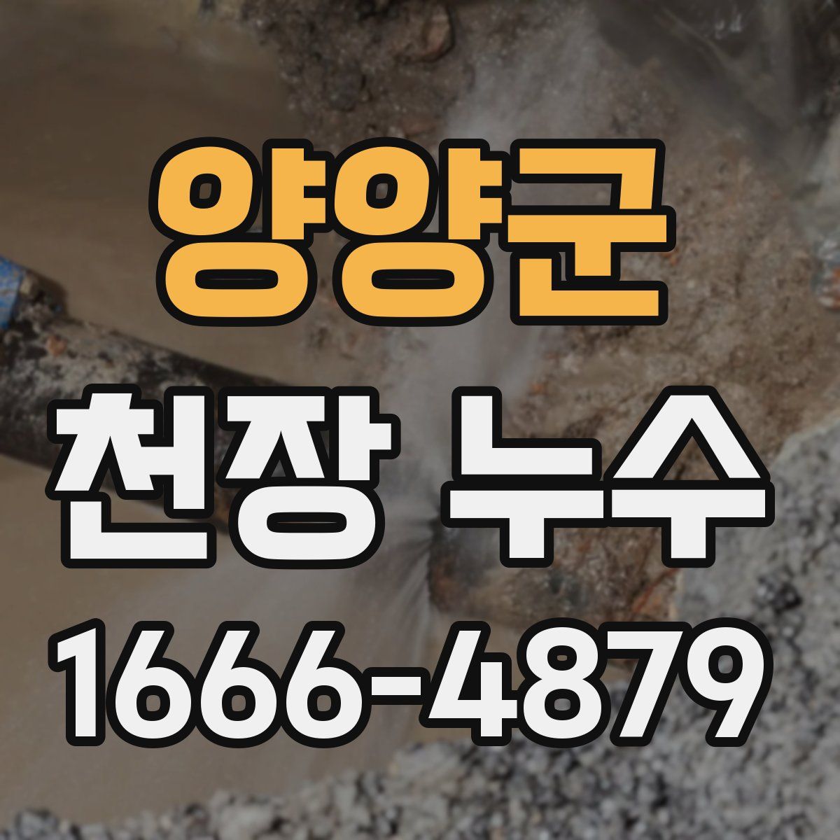 양양군 천장 누수