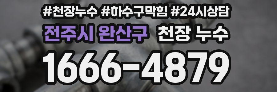 전주시 완산구 천장 누수