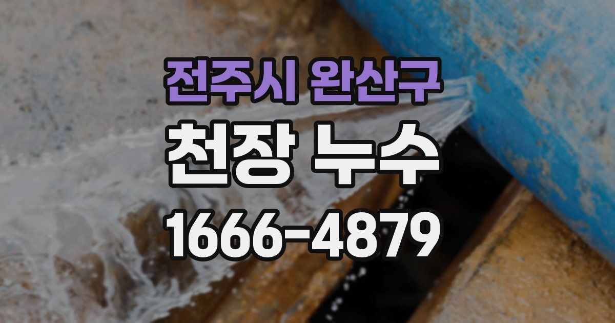 전주시 완산구 천장 누수
