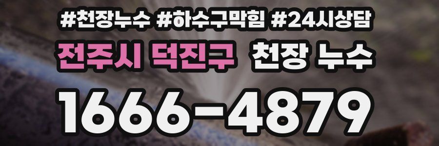 전주시 덕진구 천장 누수