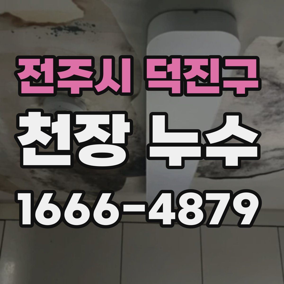 전주시 덕진구 천장 누수