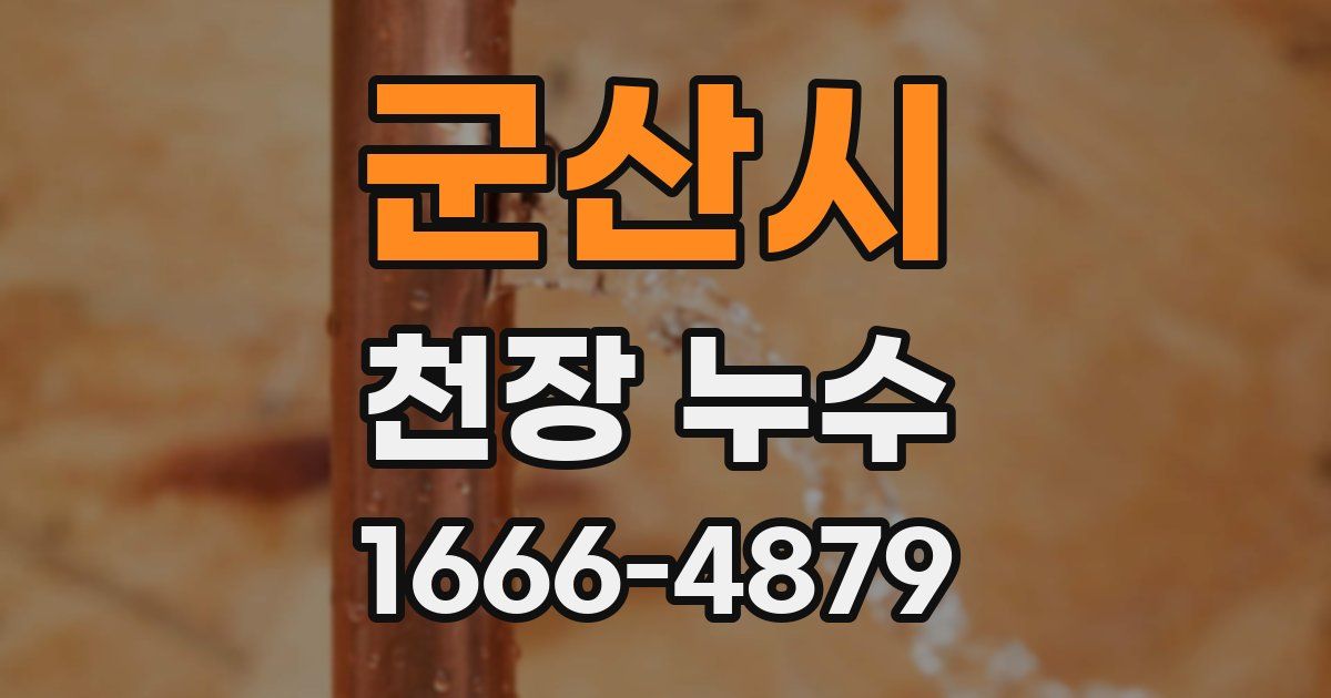 군산시 천장 누수