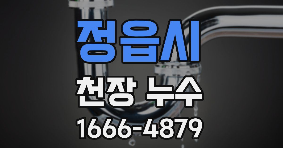 정읍시 천장 누수