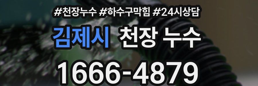 김제시 천장 누수