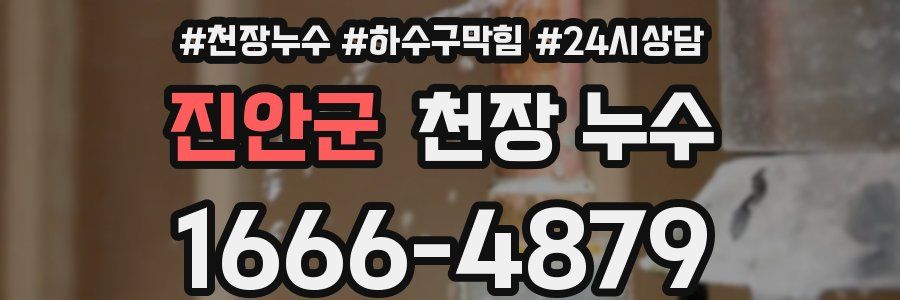 진안군 천장 누수