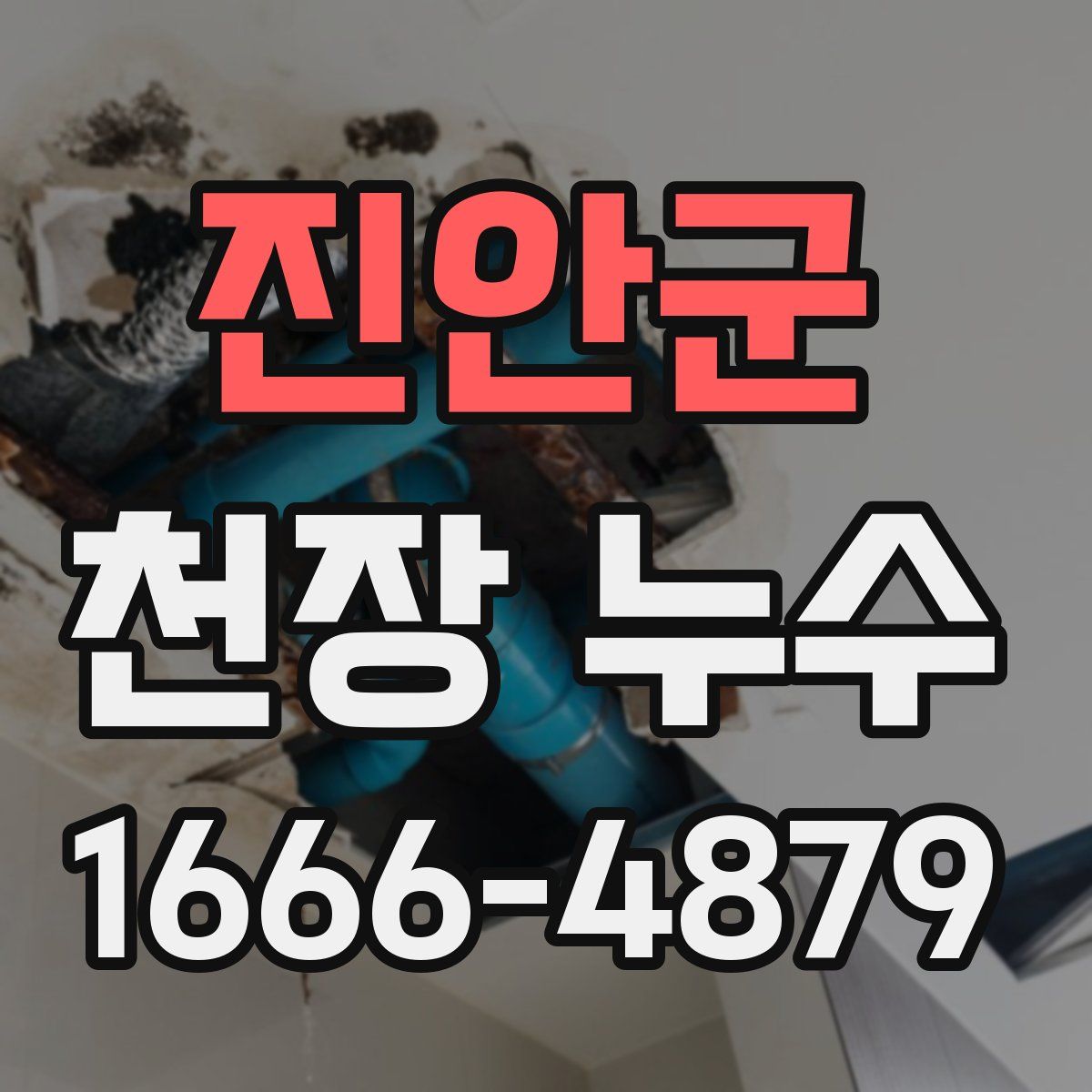 진안군 천장 누수