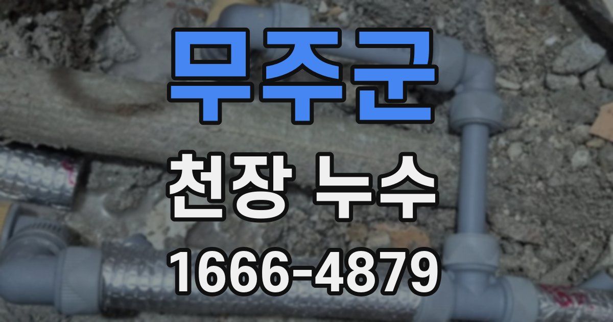 무주군 천장 누수