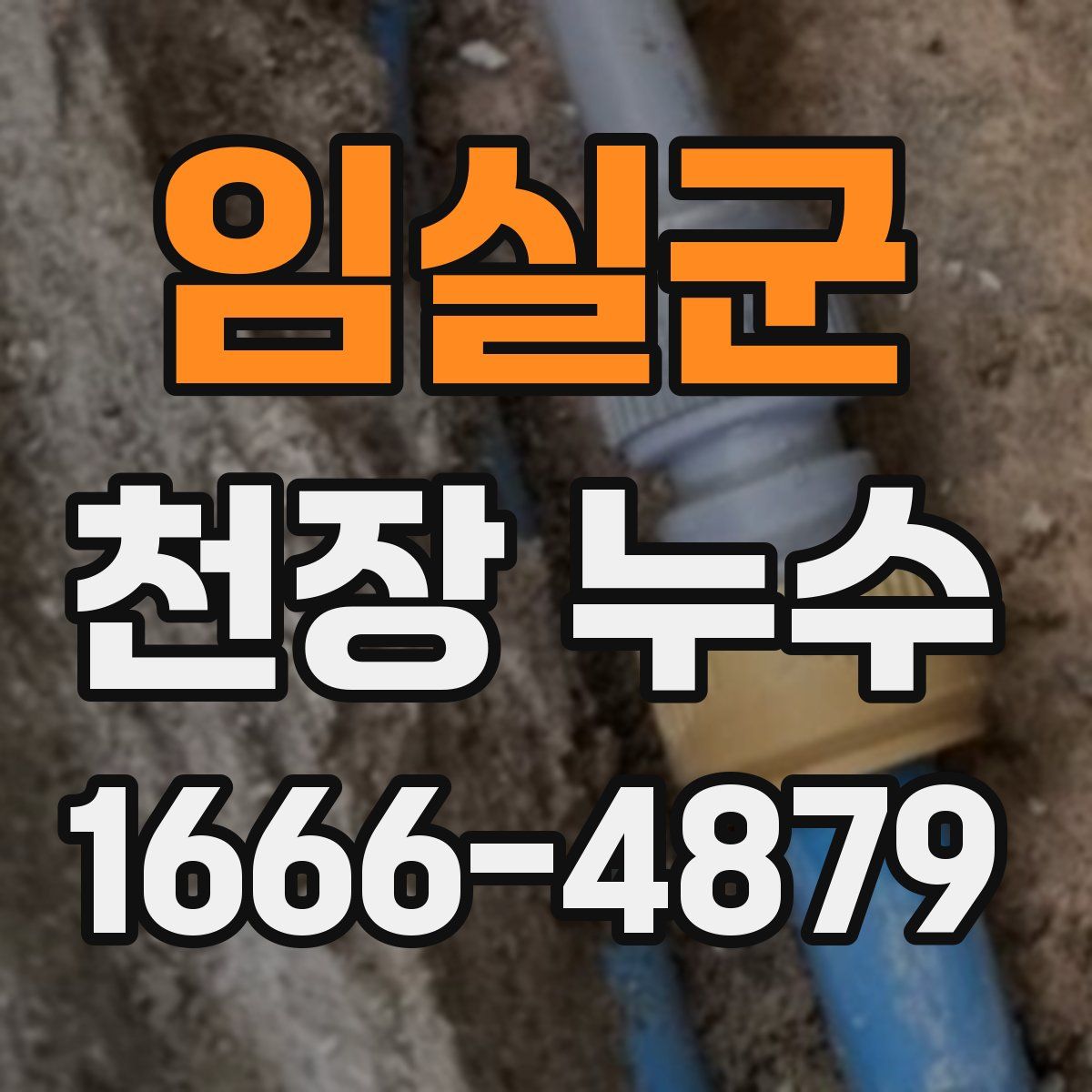 임실군 천장 누수