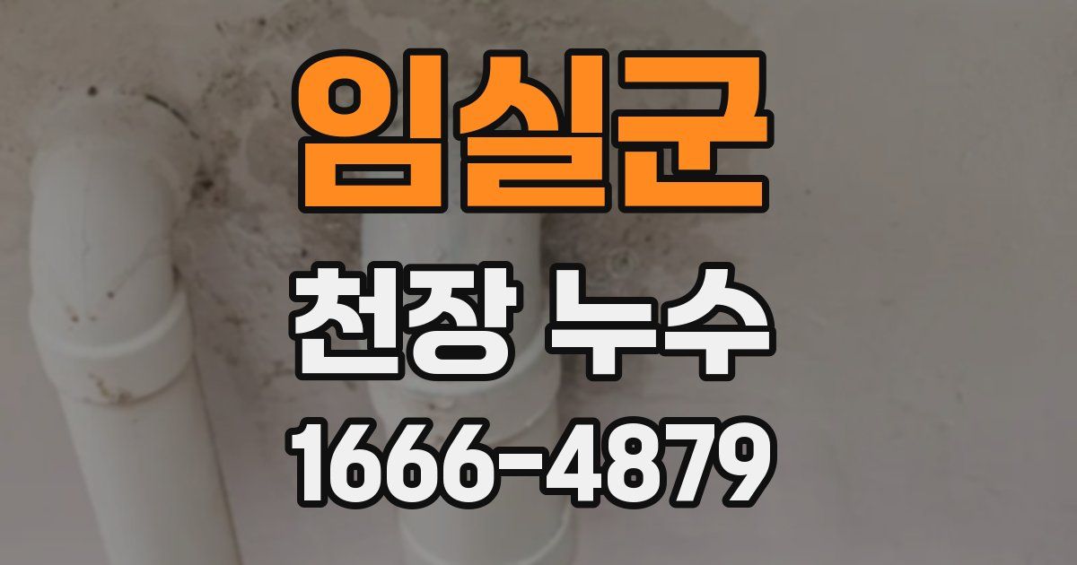 임실군 천장 누수