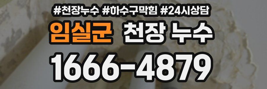 임실군 천장 누수