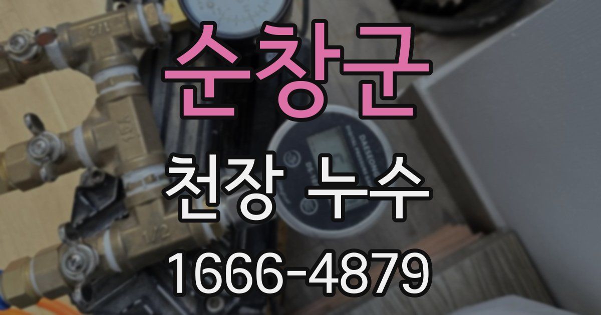 순창군 천장 누수