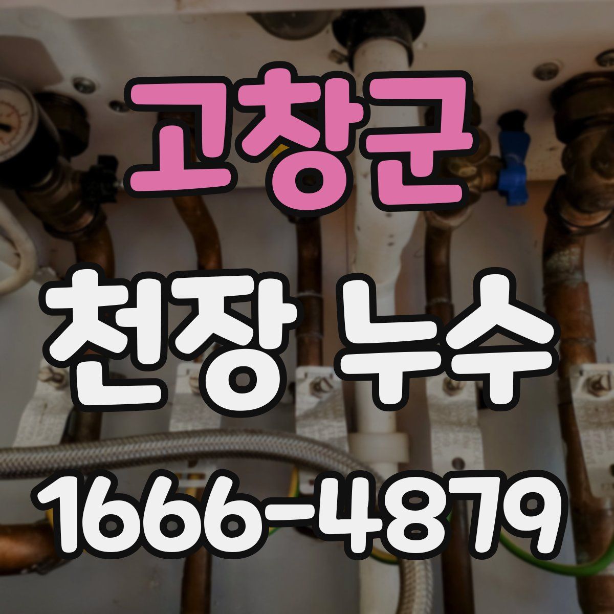 고창군 천장 누수