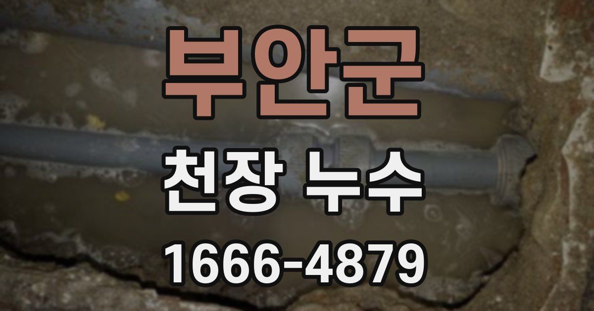 부안군 천장 누수