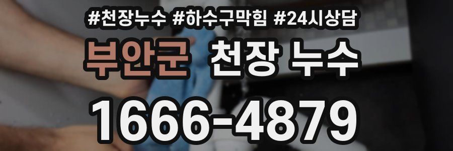 부안군 천장 누수