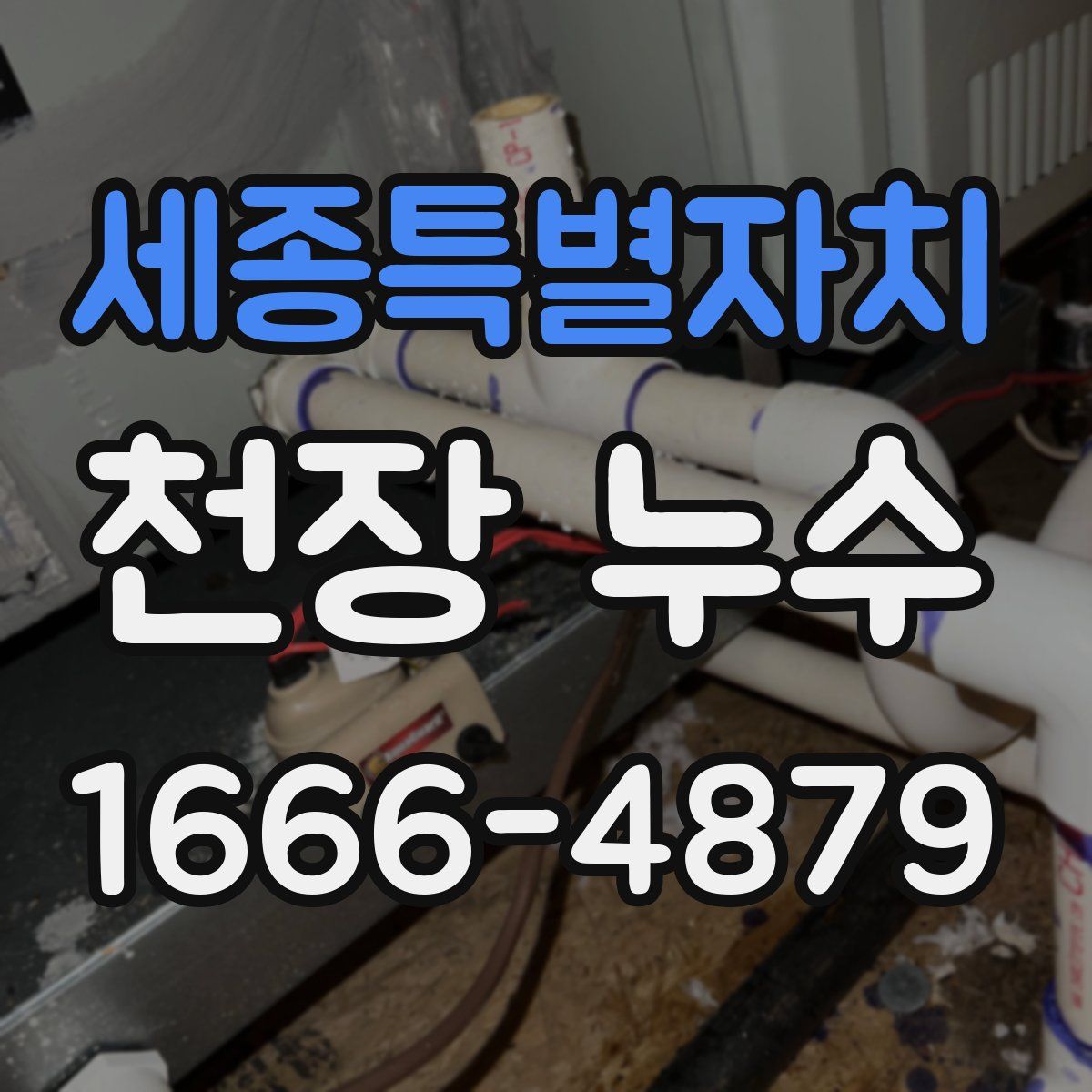 세종특별자치 천장 누수