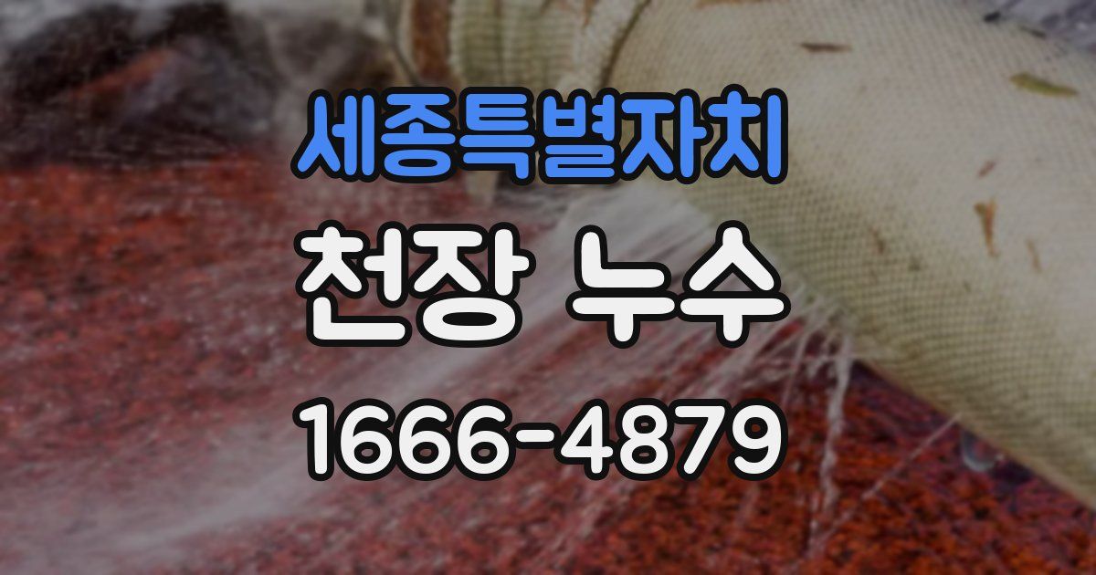 세종특별자치 천장 누수