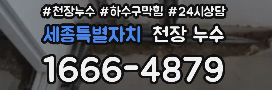 세종특별자치 천장 누수